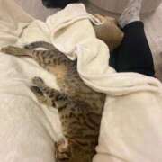 ヒメ日記 2026/02/09 00:34 投稿 ちか 人妻倶楽部 内緒の関係 大宮店