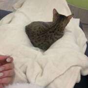 ヒメ日記 2026/02/07 13:02 投稿 ちか 人妻倶楽部 内緒の関係 川越店