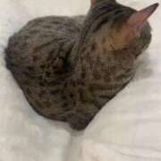 ヒメ日記 2026/02/11 10:28 投稿 ちか 人妻倶楽部 内緒の関係 川越店