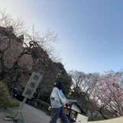 ヒメ日記 2026/04/04 09:16 投稿 ふう バイオレンス