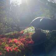 ヒメ日記 2026/04/19 00:25 投稿 ふう バイオレンス