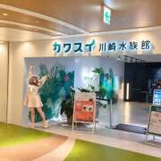 ヒメ日記 2026/10/20 00:45 投稿 ふう バイオレンス