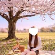 ヒメ日記 2026/04/13 12:03 投稿 愛瀬める 四季～SIKI～