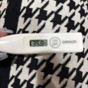 ヒメ日記 2026/03/05 15:17 投稿 マオ(奥方) 奥様幕府