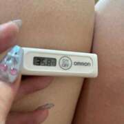 ヒメ日記 2026/03/14 11:07 投稿 マオ(奥方) 奥様幕府