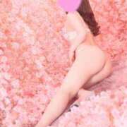 ヒメ日記 2026/04/14 03:57 投稿 マオ(奥方) 奥様幕府