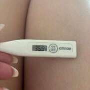 ヒメ日記 2026/04/14 15:17 投稿 マオ(奥方) 奥様幕府