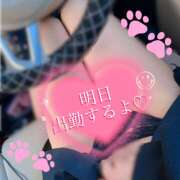 Natu(なつ） ※無題 AMATERAS(アマテラス)(福山)