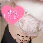 Natu(なつ） !! AMATERAS(アマテラス)(福山)