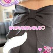 Natu(なつ） ※無題 AMATERAS(アマテラス)(福山)