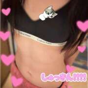 ヒメ日記 2026/03/23 08:28 投稿 Natu(なつ） AMATERAS(アマテラス)(福山)