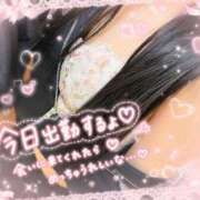ヒメ日記 2026/05/09 08:17 投稿 Natu(なつ） AMATERAS(アマテラス)(福山)