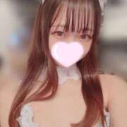 ヒメ日記 2026/02/15 23:36 投稿 アメ【体験入店】 川崎美女革命