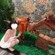 ヒメ日記 2026/07/15 20:32 投稿 るん ピンクコレクション尼崎店