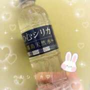 ヒメ日記 2026/05/29 11:48 投稿 小澤玲 五十路マダムエクスプレス神戸店(カサブランカグループ)
