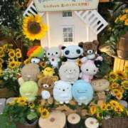 ヒメ日記 2026/08/22 00:39 投稿 はるな ピンクコレクション大阪キタ店