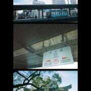 ヒメ日記 2026/03/29 21:53 投稿 はるな ピンクコレクション大阪