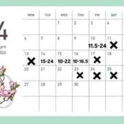 ヒメ日記 2026/04/10 11:56 投稿 はるな ピンクコレクション大阪