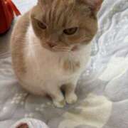 ヒメ日記 2026/02/19 12:30 投稿 かえで みこすり半道場 大阪店