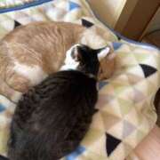 かえで お久しぶりです🎵 みこすり半道場 大阪店