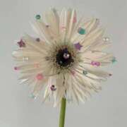 ヒメ日記 2026/02/05 10:15 投稿 ももえ♪ プリティーガール