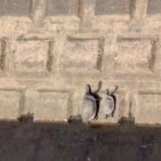 ヒメ日記 2026/04/02 10:58 投稿 大野あすか★キレイ系のオーラ全開 PLAY