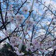 ヒメ日記 2026/04/04 20:48 投稿 大野あすか★キレイ系のオーラ全開 PLAY