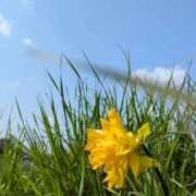 ヒメ日記 2026/04/15 20:51 投稿 大野あすか★キレイ系のオーラ全開 PLAY