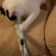 ヒメ日記 2026/02/05 23:16 投稿 カンナ マテリアル