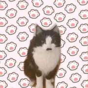 ヒメ日記 2026/02/22 16:01 投稿 カンナ マテリアル