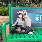 ヒメ日記 2026/03/29 17:01 投稿 カンナ マテリアル