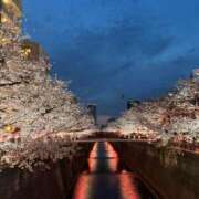 ヒメ日記 2026/04/07 19:01 投稿 カンナ マテリアル