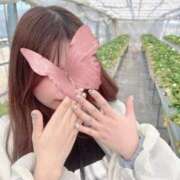 ヒメ日記 2026/03/17 00:29 投稿 ひなこちゃん ChuChuバナナ