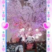 ヒメ日記 2026/02/25 14:54 投稿 島谷 熟女の風俗最終章 横浜本店