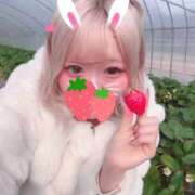 ヒメ日記 2026/02/10 09:54 投稿 みお 学園collection