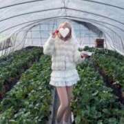 ヒメ日記 2026/02/12 08:14 投稿 みお 学園collection