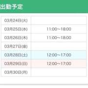 ヒメ日記 2026/03/24 22:33 投稿 ここあ チェリーデイズ