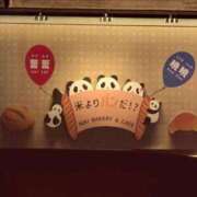 ヒメ日記 2026/03/28 21:00 投稿 石野里実 ローテンブルク