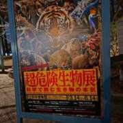 ヒメ日記 2026/04/04 20:00 投稿 石野里実 ローテンブルク