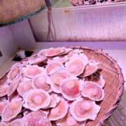 ヒメ日記 2026/03/10 12:14 投稿 Uru 濃密バブルSPA VIP