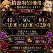 ヒメ日記 2026/08/25 19:01 投稿 サラ★清楚系の和風美人！！ PLAY