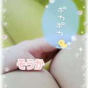 ヒメ日記 2026/02/11 23:00 投稿 そうか 丸妻 新横浜店