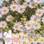 ヒメ日記 2026/04/07 22:13 投稿 そうか 丸妻 新横浜店