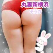 ヒメ日記 2026/04/17 14:52 投稿 そうか 丸妻 新横浜店