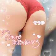 ヒメ日記 2026/07/15 13:14 投稿 そうか 丸妻 新横浜店