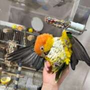 望月なる★まさに“美しさ”の象徴 家族☺️ PLAY