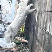 ヒメ日記 2026/03/02 14:05 投稿 雲雀あいこ コウテイ