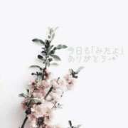 ヒメ日記 2026/03/26 16:55 投稿 雲雀あいこ コウテイ