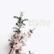 雲雀あいこ いつもありがとう！ コウテイ