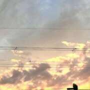 ヒメ日記 2026/05/07 16:05 投稿 雲雀あいこ コウテイ